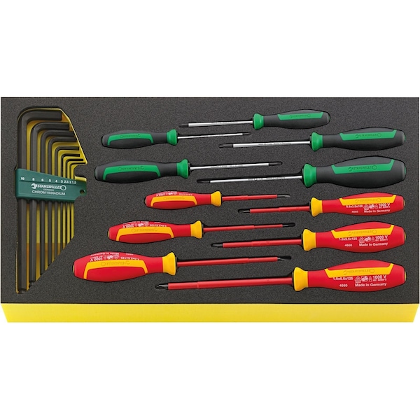 Stahlwille Tools DRALL+ set of screwdrivers i.TCS inlay No.TCS WT 4650-4665-1 -tray20-pcs. 96830129 - main